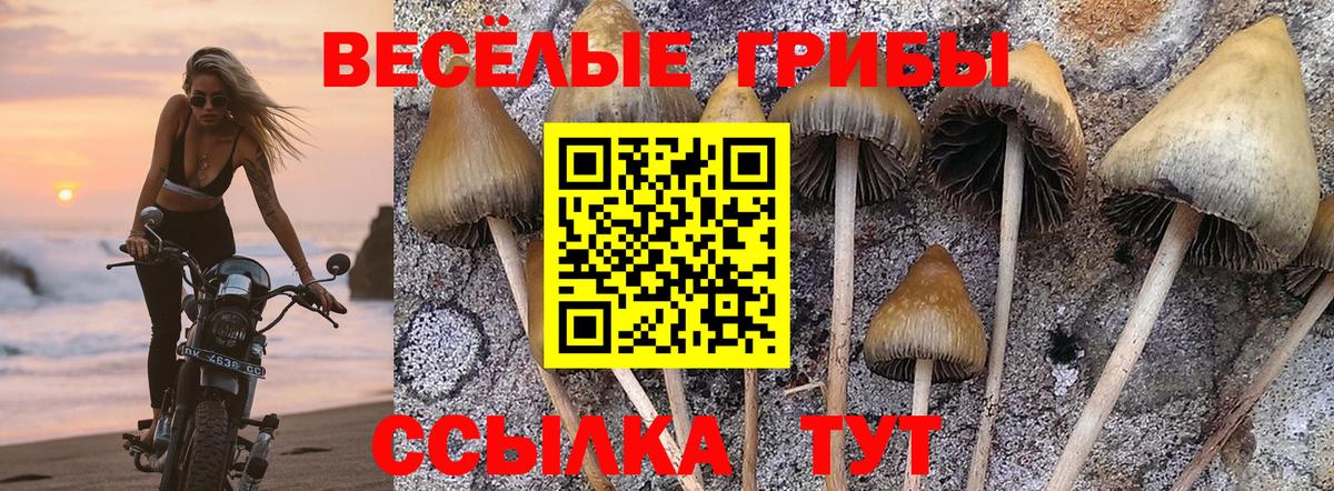 Галлюциногенные грибы мицелий  Галлюциногенные грибы мухоморы  Вход с VPN  Иркутск 